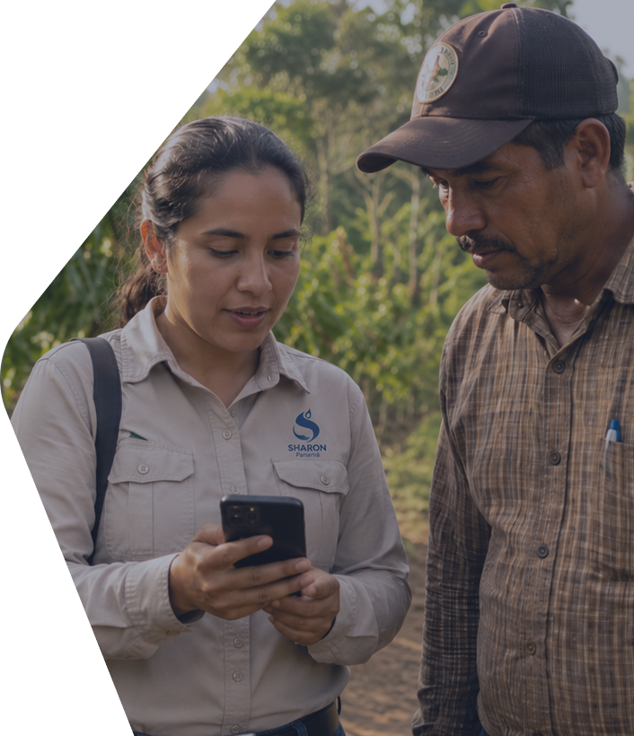 Gestión agrícola de Sharon Panamá