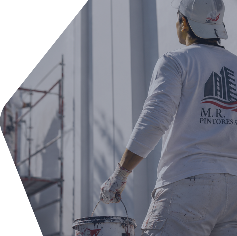 Plataforma desarrollada para MR Pintores