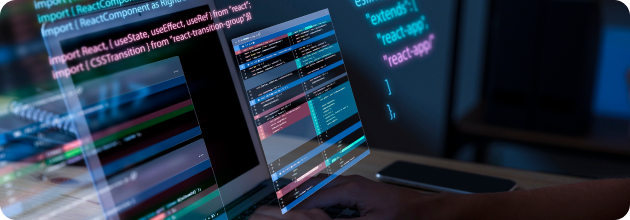 Desarrollo e integración a la medida